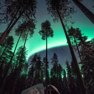 国产操丝袜大奶妹
